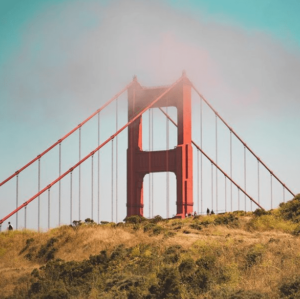 Screen Shot 2022 10 19 at 3.45.11 PM